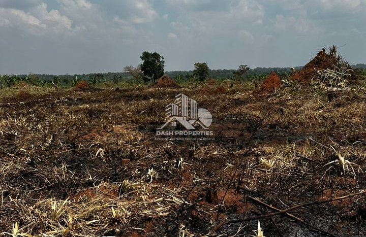 400 acres in Bwizibweera