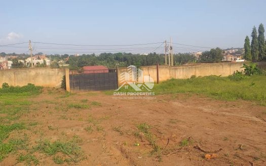 Prime Fenced Land in Najeera