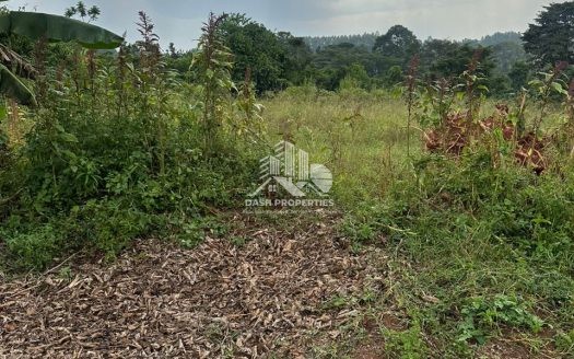 nalusuuga residential agricultural plots
