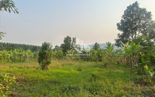 Kibunga Land for sale suitable for farms