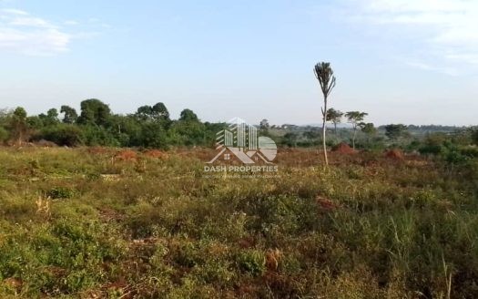Nakaseke Butalangu 100 Acres