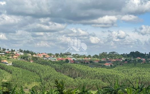 Lush landscape in Nakyeyerongosa, Uganda