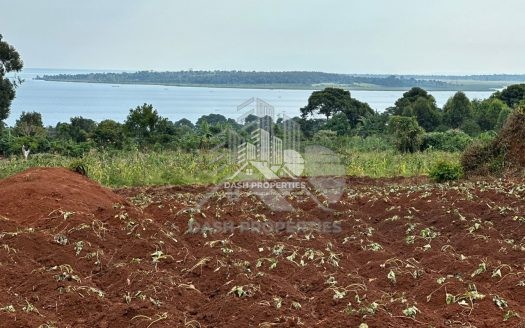 Prime Land for Sale in Ziba-Kasanje, Lake Victoria Shoreline
